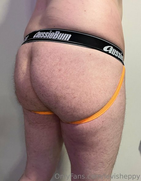 levisheppy Profile pic