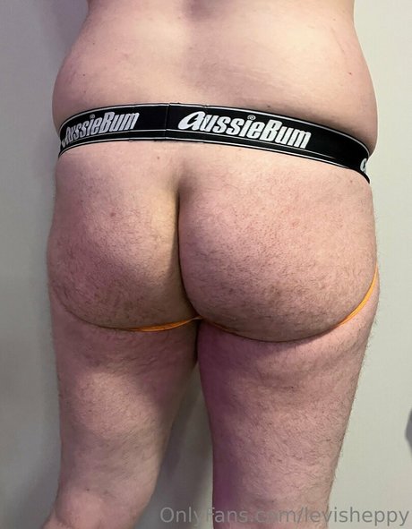 levisheppy star gallery