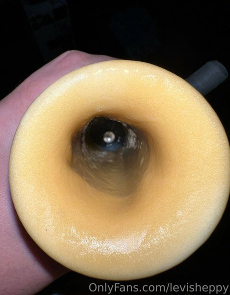 levisheppy high quality actress picture