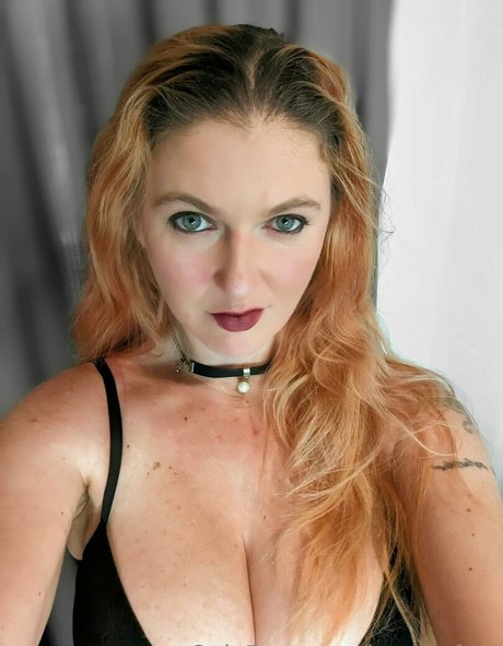 louroarfree nice pornstar archive