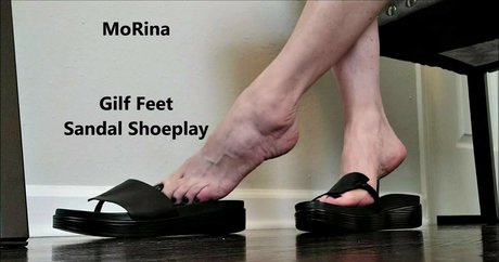 morina star free image