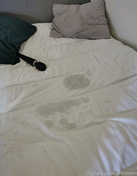 nordickitten star nude images