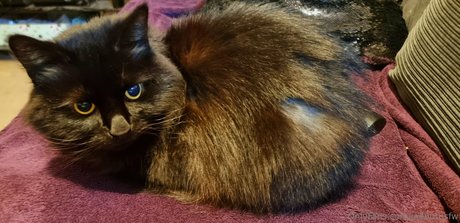 joebutnsfw hot actress images