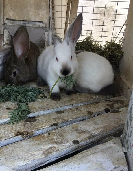 american onlyfans beautiful porn photo