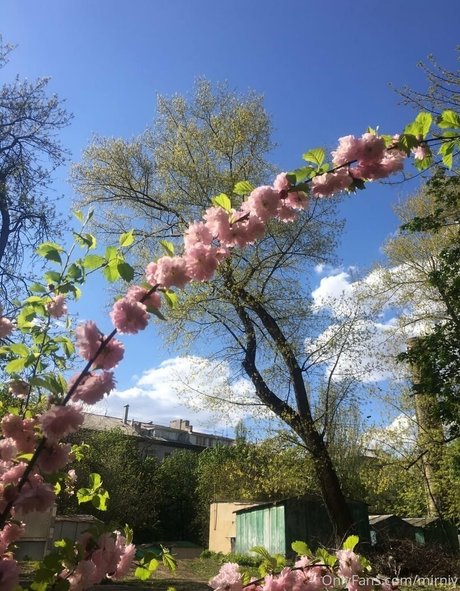 mirniy pornstar beautiful pics