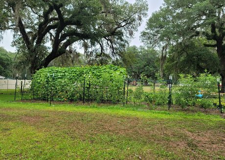 gay teen onlyfans sex photo