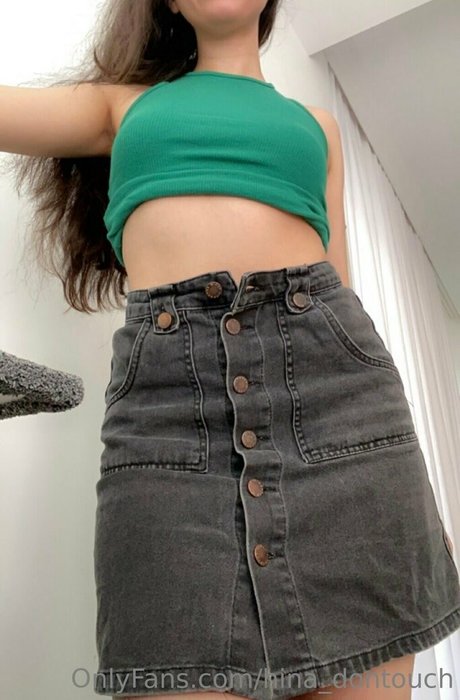 hina dontouch sexy actress img