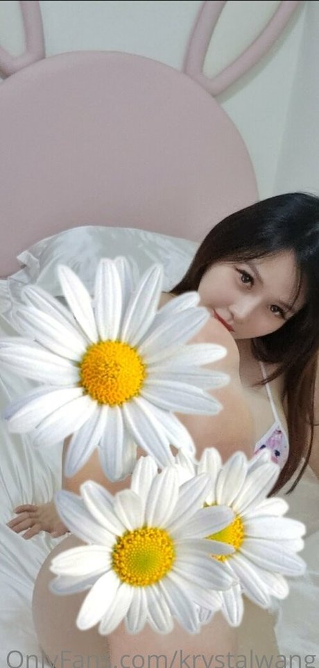 krystalwangfree pornographic actress pic