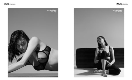 Venosere star beautiful image