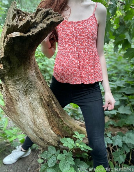 flatchestedfree top pornstar galleries