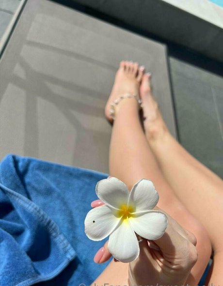 sweet polly best pornstar gallery