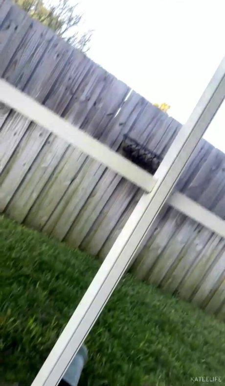 Katee Owen exclusive actress images