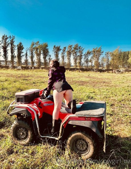 cowgirl nz pretty star galleries