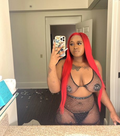 tierra2000 model img