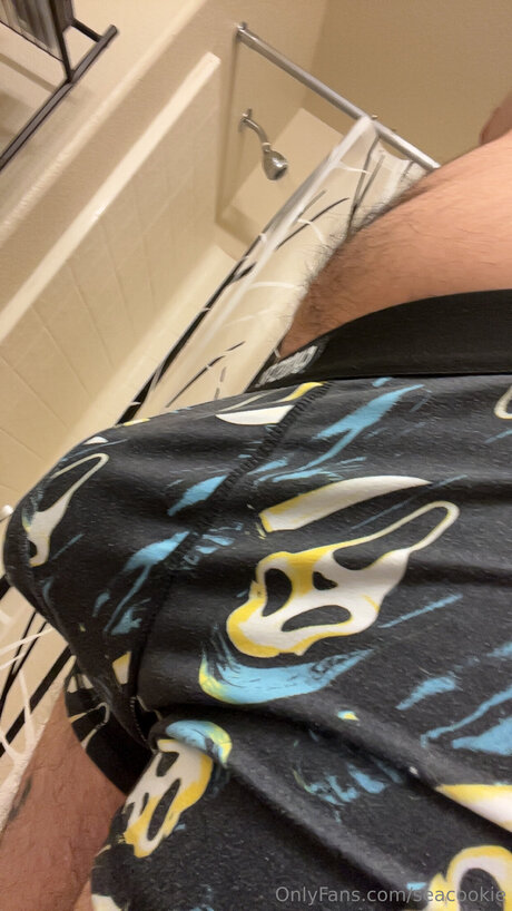 Seacookie porn model picture