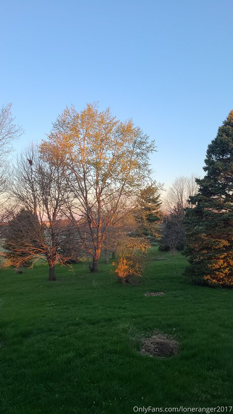 Loneranger2017 free model images