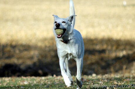 Loneranger2017 best actress photo