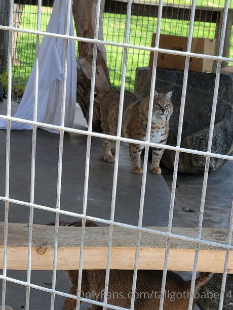 pawg girls onlyfans hot naked picture