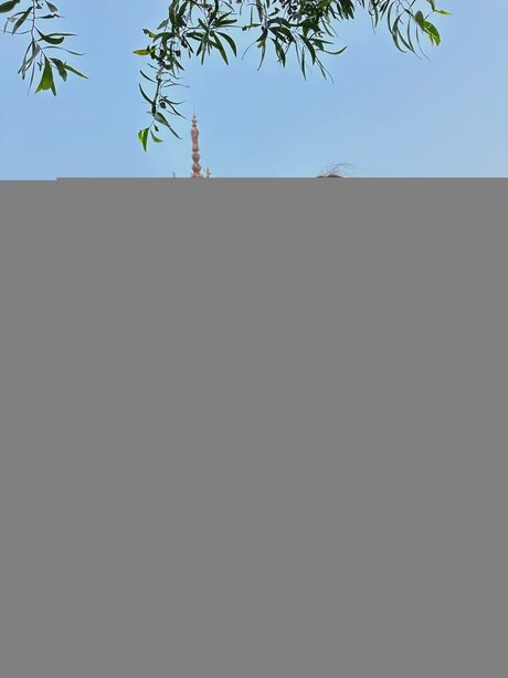 Lilia Ss pretty actress archive