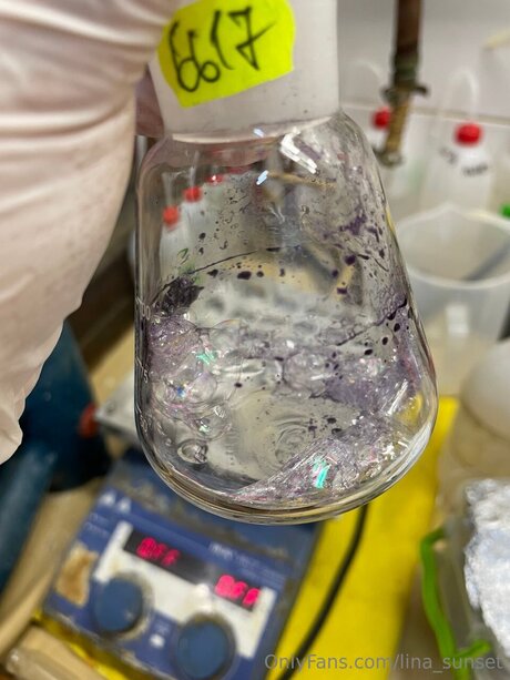 Lina Sunset best model image