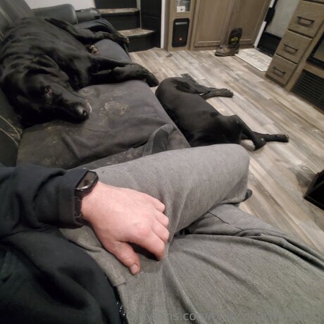 Bluecollarworker01 model pics