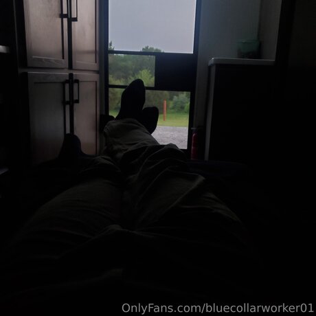 Bluecollarworker01 actress picture