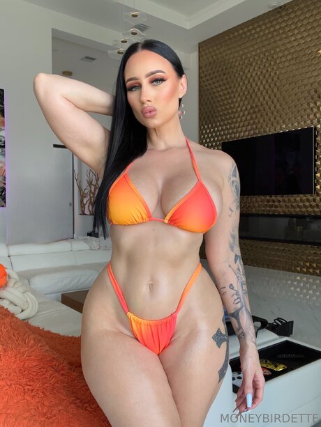 Moneybirdettevip free pornstar images