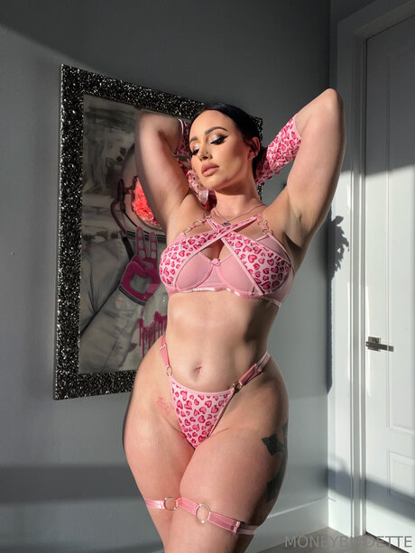 Moneybirdettevip model art img