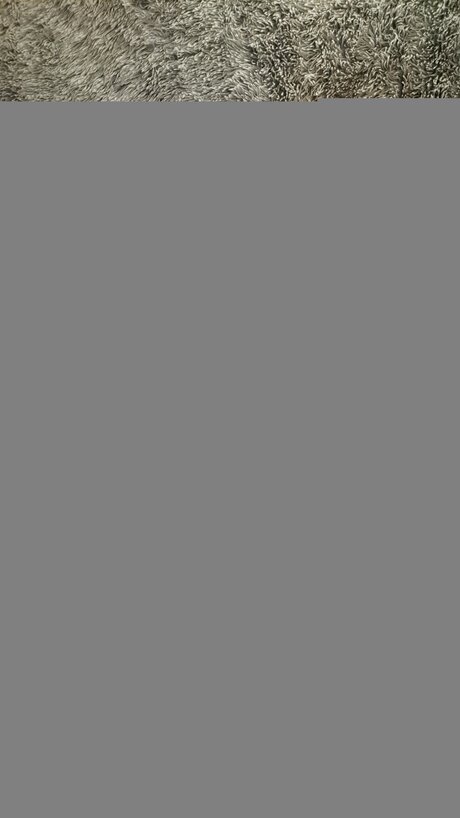 Sezish star perfect img