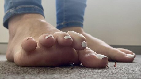 Alexlongtoes perfect actress gallery