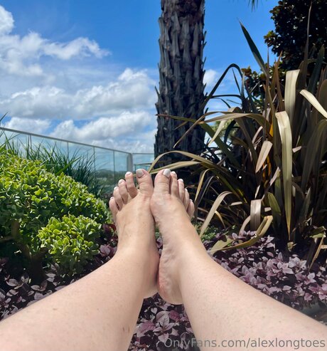 Alexlongtoes art actress image