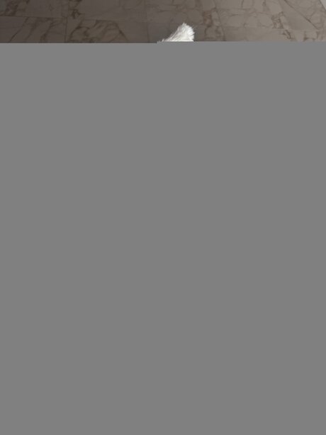 Bella Yammy pornstar sex photo