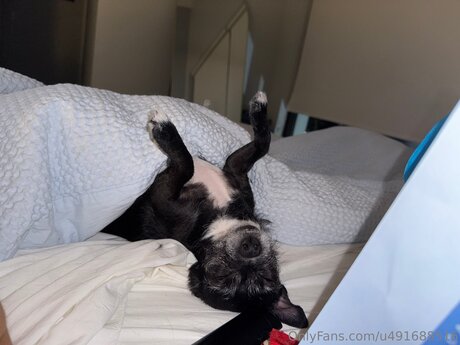 Chloekim model art photo