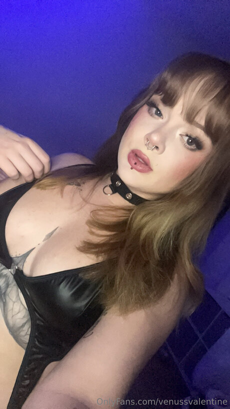 Venussvalentine art pornstar galleries