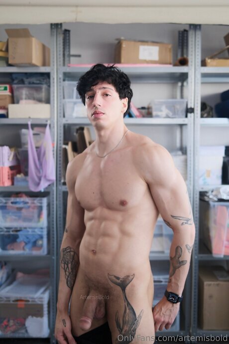 Artemisbold naked pornstar galleries