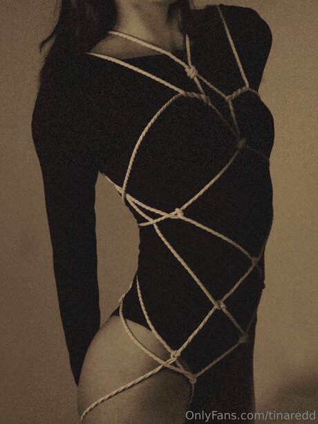 Tinaredd art star pic