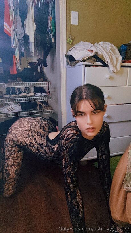 Ashleyyy 1177 star perfect img