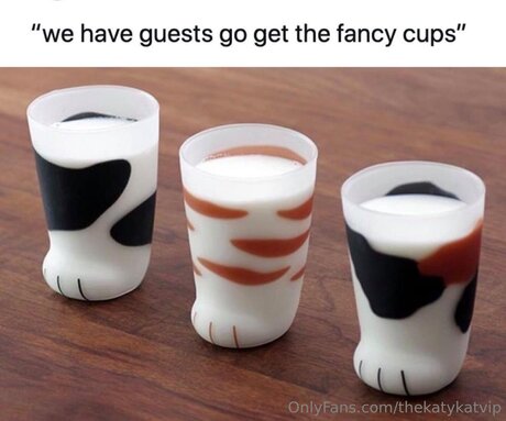 Thekatykatvip pornstar top photos