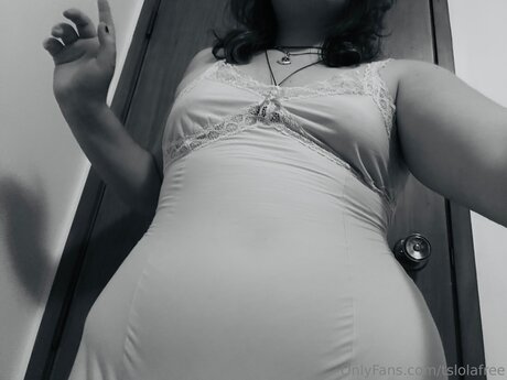 Tslolafree perfect pornstar image