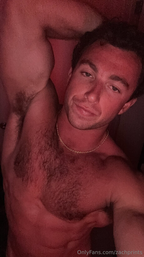 Zachprints pretty pornstar gallery