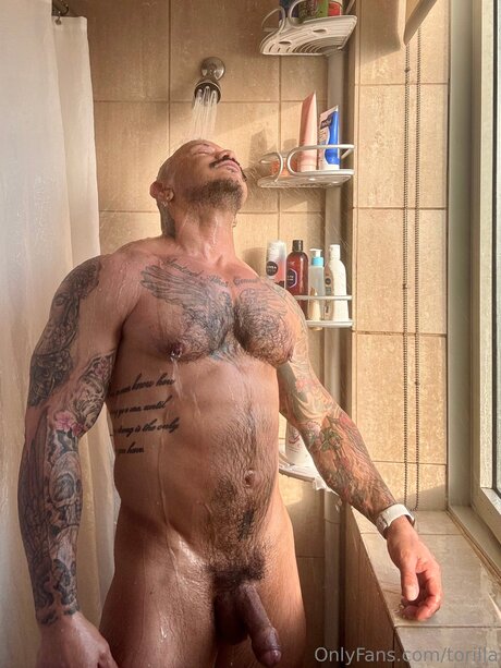 Torilla pornographic actress pic