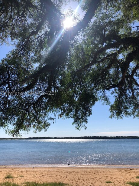 Iva420 pornstar adult archive