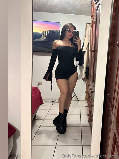 Catacustom model exclusive archive