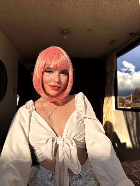 Catacustom free model images