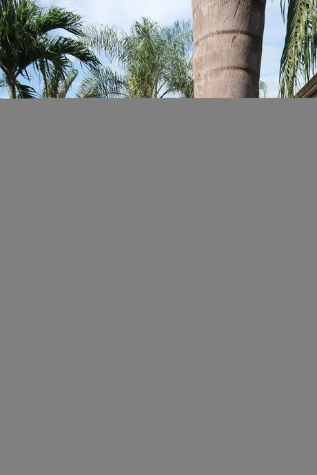 Hail Fitgirl top model pic