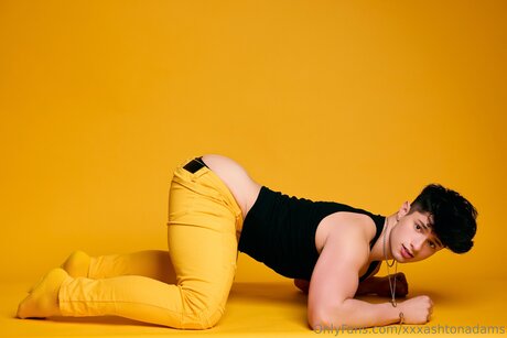 Ashtonadamsx nude actress archive