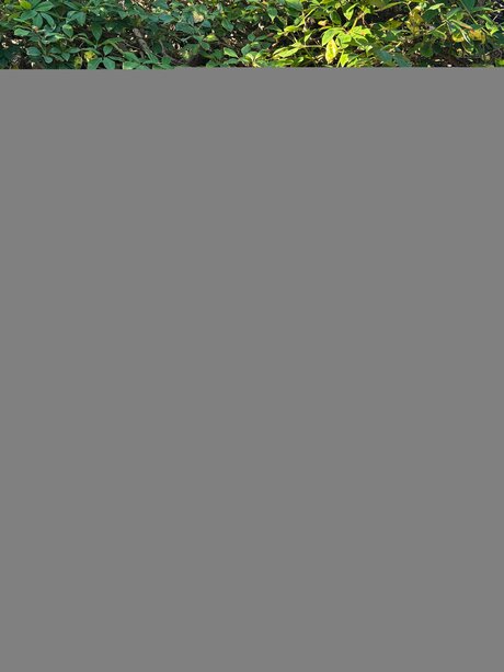 Livwa pornstar xxx pic