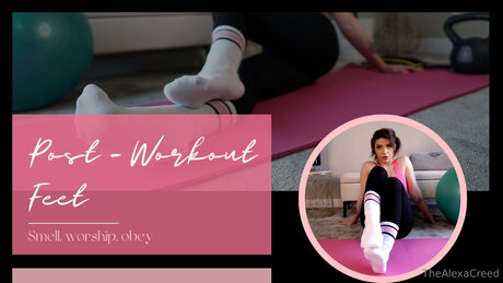 Thealexacreed hd star gallery