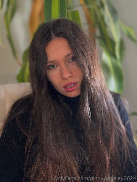 Dominga2024 star free img