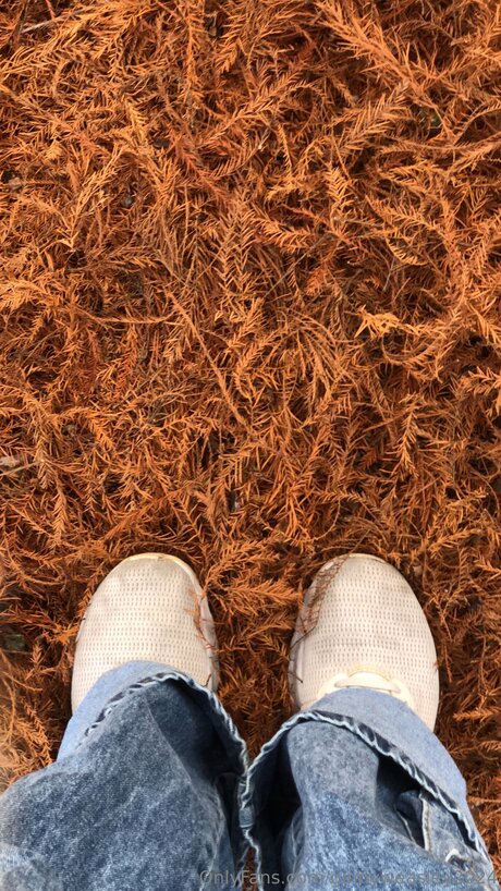 Dominga2024 porn actress pics